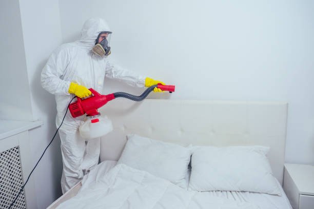 Bed Bugs Control