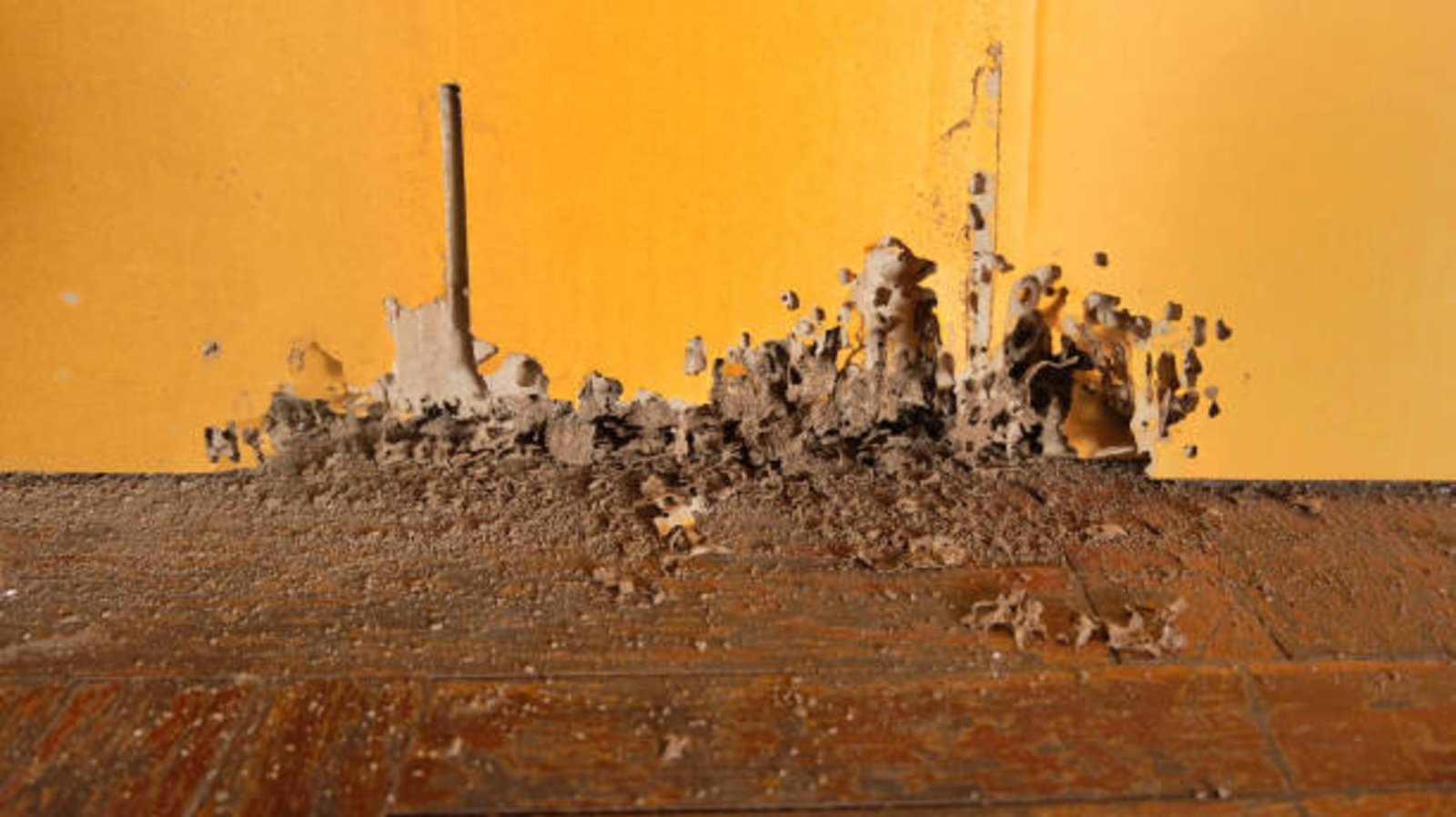 Termite Proofing